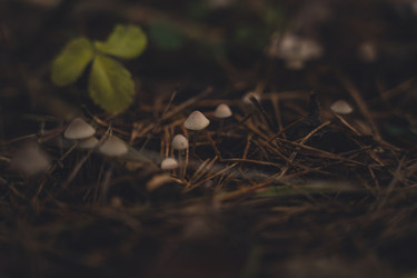 Similar image 22117614