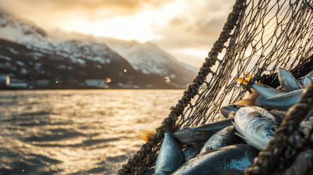 Similar image 22123173