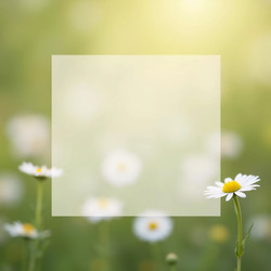 Similar image 22115659