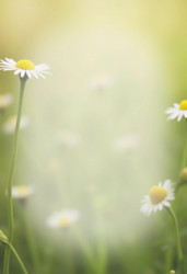 Similar image 22115660