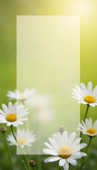 Similar image 22116275