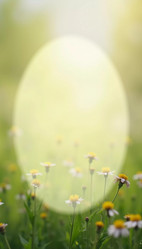 Similar image 22116581