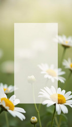 Similar image 22116582