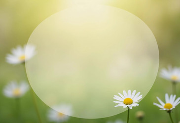 Similar image 22118512