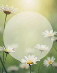 Similar image 22118794