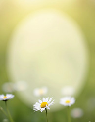 Similar image 22119042