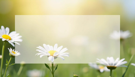 Similar image 22119043