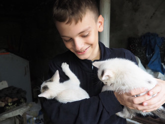 Similar image 22119451