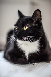 Similar image 22127884