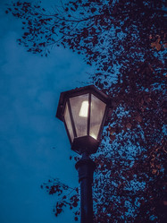 Similar image 22127885