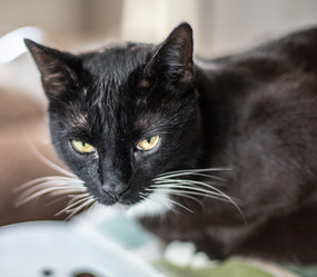 Similar image 22127886