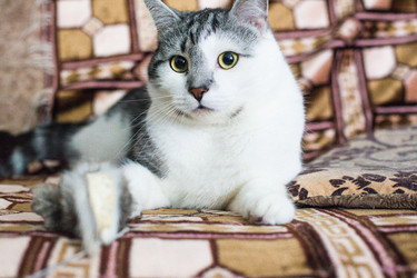 Similar image 22127887