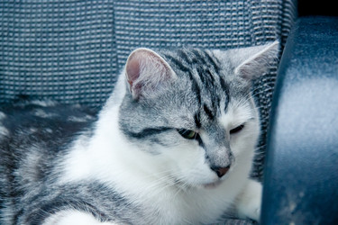 Similar image 22127888