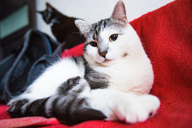 Similar image 22127889