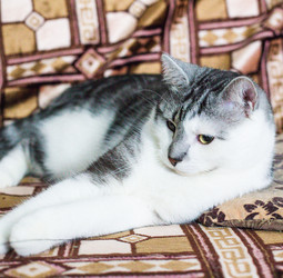 Similar image 22127890