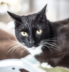 Similar image 22127891