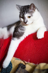 Similar image 22127892