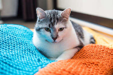 Similar image 22127893