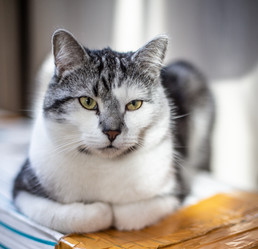 Similar image 22127894