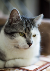 Similar image 22127895