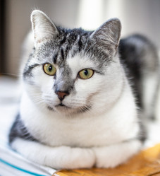 Similar image 22127900