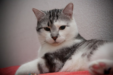 Similar image 22127901