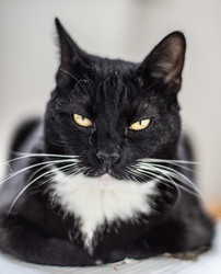 Similar image 22127902