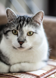 Similar image 22127903