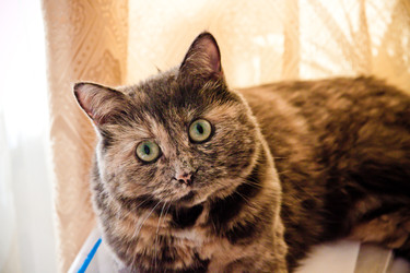 Similar image 22127905