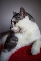 Similar image 22127906