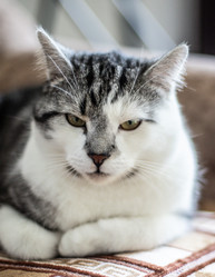 Similar image 22127907