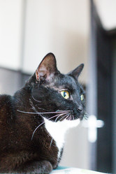 Similar image 22127466