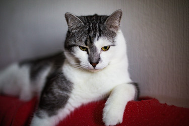 Similar image 22127467