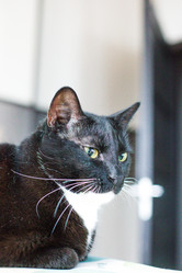 Similar image 22127468