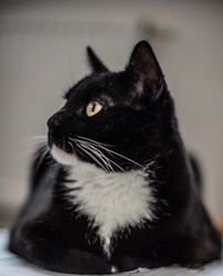 Similar image 22127469