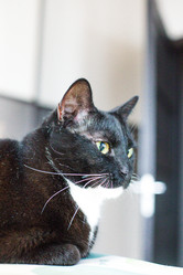 Similar image 22127471