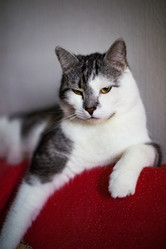 Similar image 22127472