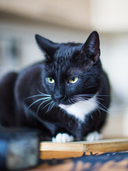 Similar image 22127908