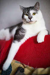 Similar image 22124871