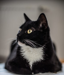 Similar image 22127909