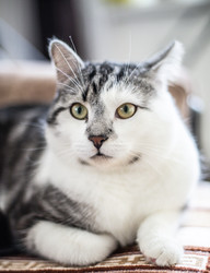 Similar image 22127910