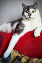 Similar image 22127473