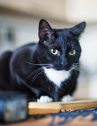 Similar image 22127474