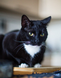 Similar image 22127477