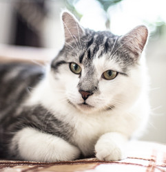 Similar image 22127478