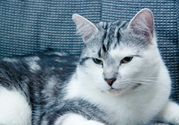 Similar image 22127610