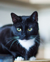 Similar image 22127611