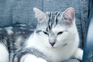 Similar image 22127911