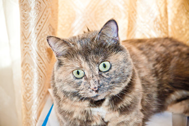 Similar image 22127912