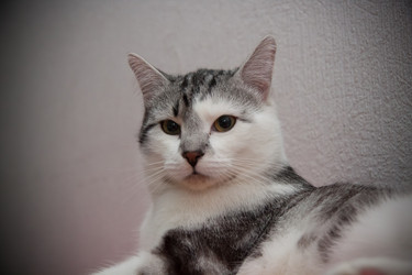 Similar image 22127914